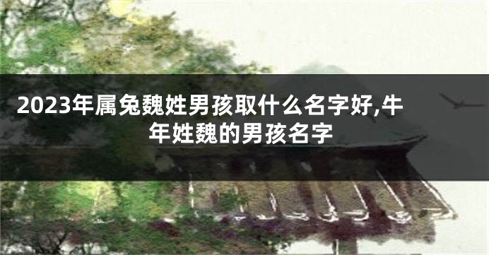2023年属兔魏姓男孩取什么名字好,牛年姓魏的男孩名字
