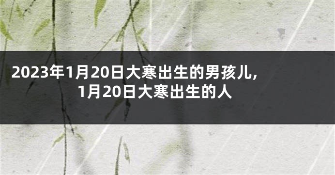 2023年1月20日大寒出生的男孩儿,1月20日大寒出生的人