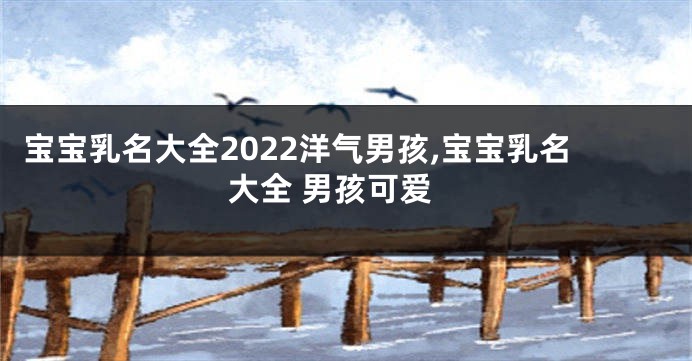 宝宝乳名大全2022洋气男孩,宝宝乳名大全 男孩可爱