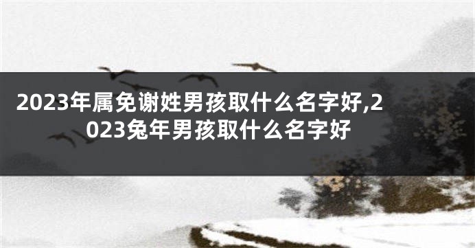 2023年属免谢姓男孩取什么名字好,2023兔年男孩取什么名字好