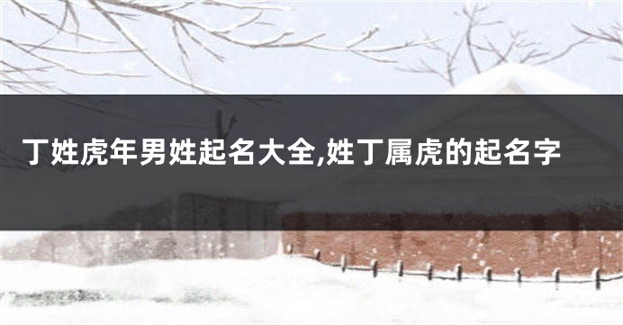 丁姓虎年男姓起名大全,姓丁属虎的起名字