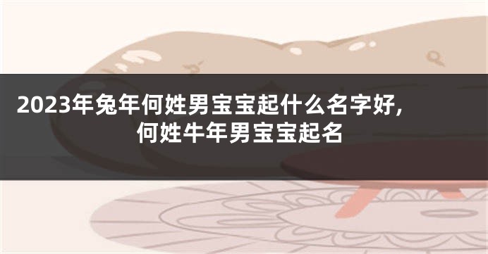 2023年兔年何姓男宝宝起什么名字好,何姓牛年男宝宝起名