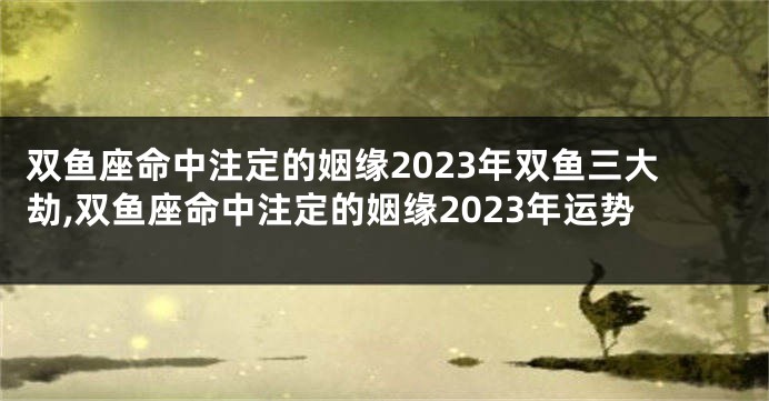 双鱼座命中注定的姻缘2023年双鱼三大劫,双鱼座命中注定的姻缘2023年运势