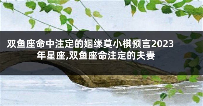 双鱼座命中注定的姻缘莫小棋预言2023年星座,双鱼座命注定的夫妻