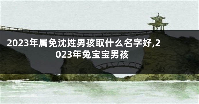 2023年属免沈姓男孩取什么名字好,2023年兔宝宝男孩