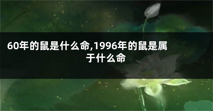 60年的鼠是什么命,1996年的鼠是属于什么命