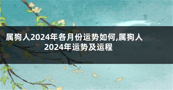 属狗人2024年各月份运势如何,属狗人2024年运势及运程
