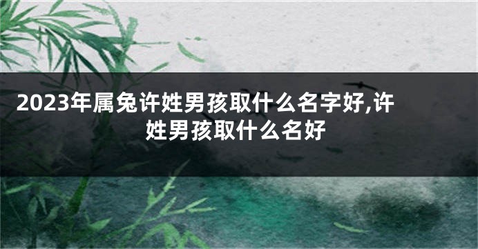 2023年属兔许姓男孩取什么名字好,许姓男孩取什么名好