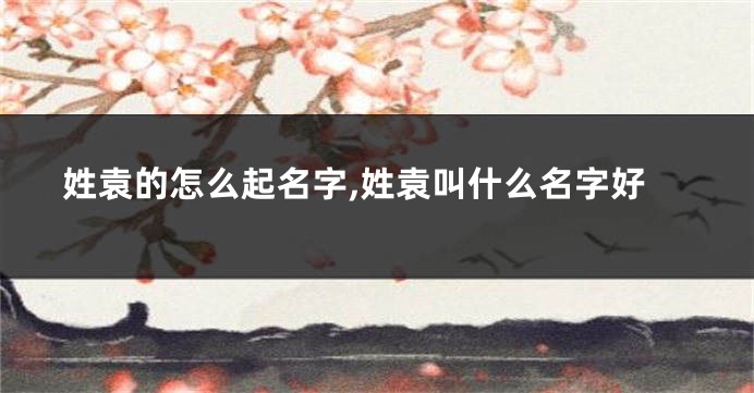 姓袁的怎么起名字,姓袁叫什么名字好