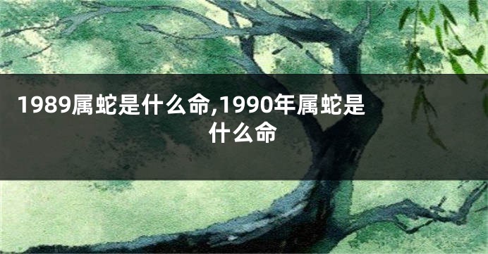 1989属蛇是什么命,1990年属蛇是什么命