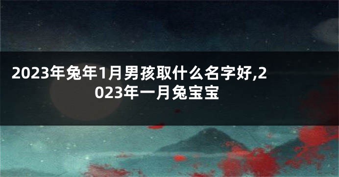 2023年兔年1月男孩取什么名字好,2023年一月兔宝宝