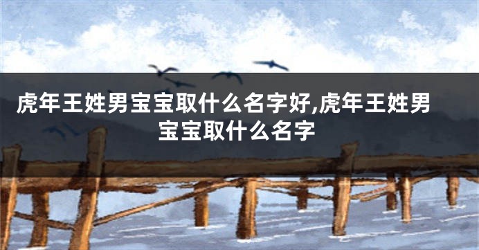 虎年王姓男宝宝取什么名字好,虎年王姓男宝宝取什么名字