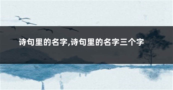 诗句里的名字,诗句里的名字三个字
