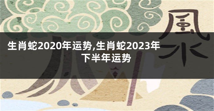 生肖蛇2020年运势,生肖蛇2023年下半年运势