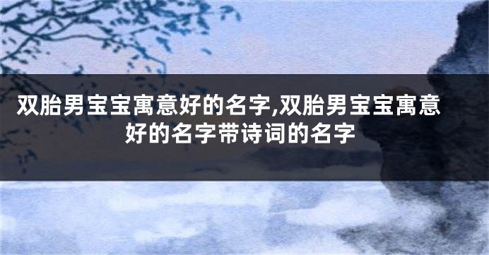 双胎男宝宝寓意好的名字,双胎男宝宝寓意好的名字带诗词的名字