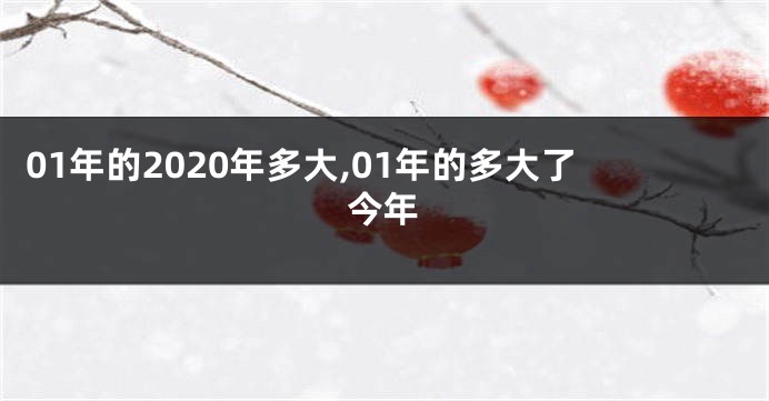 01年的2020年多大,01年的多大了今年