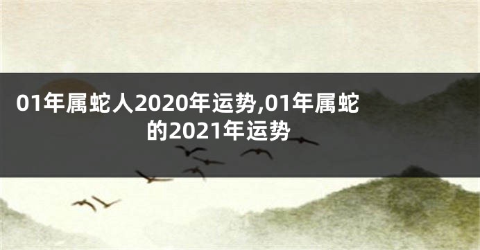 01年属蛇人2020年运势,01年属蛇的2021年运势