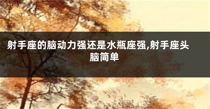 射手座的脑动力强还是水瓶座强,射手座头脑简单