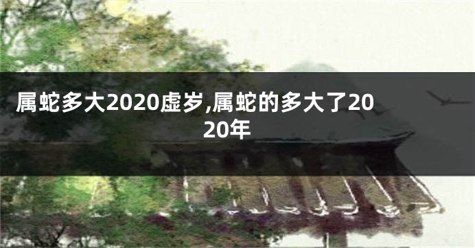 属蛇多大2020虚岁,属蛇的多大了2020年