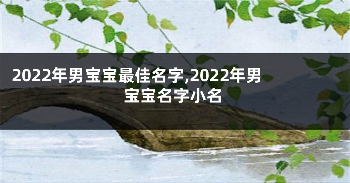 2022年男宝宝最佳名字,2022年男宝宝名字小名