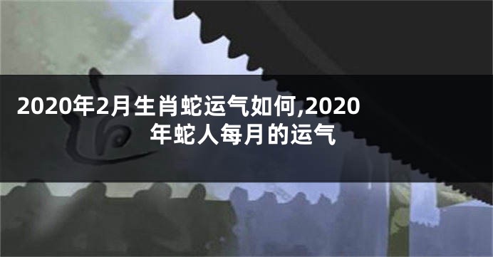 2020年2月生肖蛇运气如何,2020年蛇人每月的运气