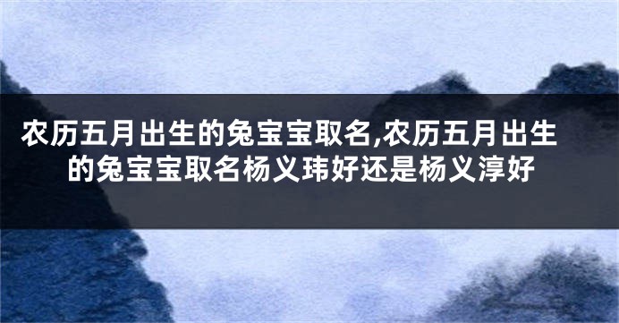 农历五月出生的兔宝宝取名,农历五月出生的兔宝宝取名杨义玮好还是杨义淳好