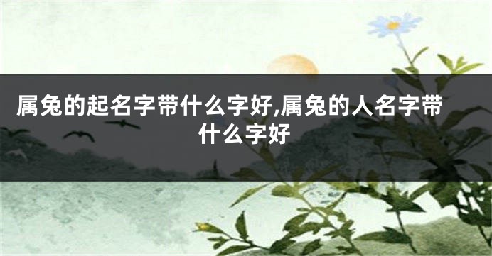 属兔的起名字带什么字好,属兔的人名字带什么字好