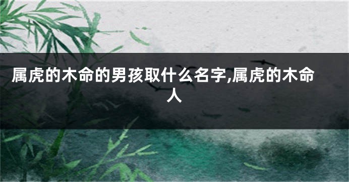 属虎的木命的男孩取什么名字,属虎的木命人