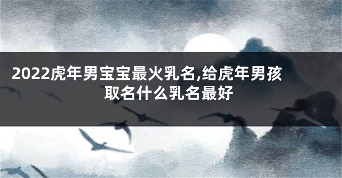2022虎年男宝宝最火乳名,给虎年男孩取名什么乳名最好