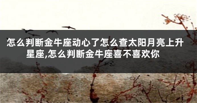 怎么判断金牛座动心了怎么查太阳月亮上升星座,怎么判断金牛座喜不喜欢你