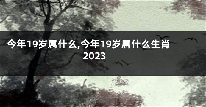 今年19岁属什么,今年19岁属什么生肖2023