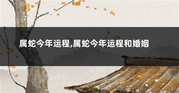 属蛇今年运程,属蛇今年运程和婚姻