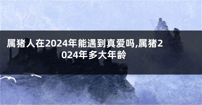 属猪人在2024年能遇到真爱吗,属猪2024年多大年龄