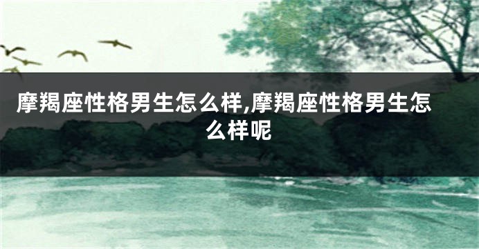 摩羯座性格男生怎么样,摩羯座性格男生怎么样呢
