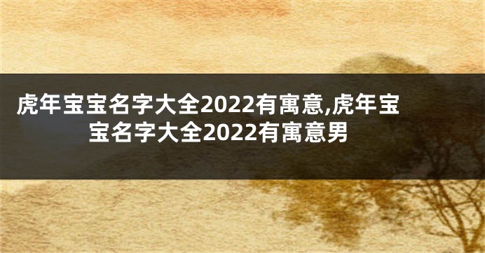 虎年宝宝名字大全2022有寓意,虎年宝宝名字大全2022有寓意男