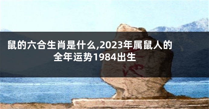 鼠的六合生肖是什么,2023年属鼠人的全年运势1984出生