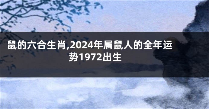 鼠的六合生肖,2024年属鼠人的全年运势1972出生