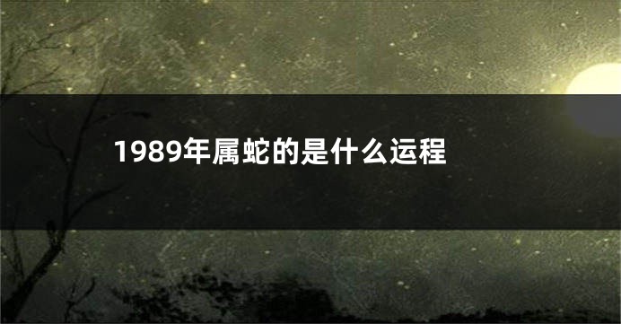 1989年属蛇的是什么运程