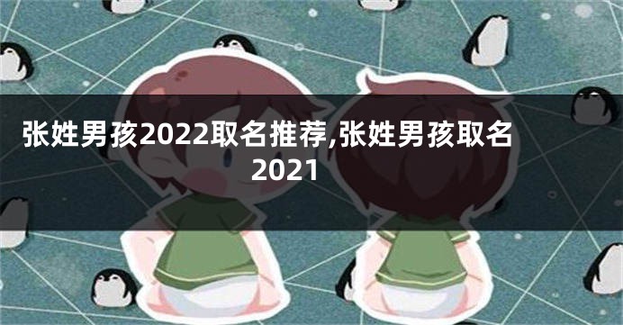 张姓男孩2022取名推荐,张姓男孩取名2021
