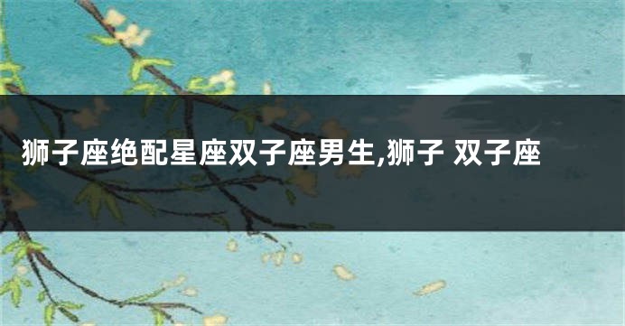 狮子座绝配星座双子座男生,狮子 双子座