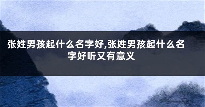 张姓男孩起什么名字好,张姓男孩起什么名字好听又有意义