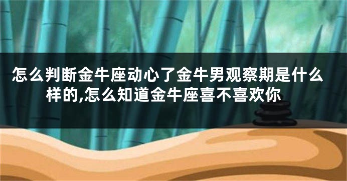 怎么判断金牛座动心了金牛男观察期是什么样的,怎么知道金牛座喜不喜欢你
