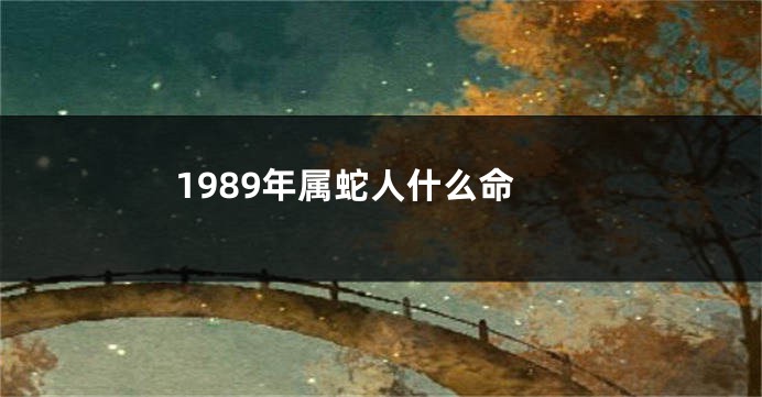 1989年属蛇人什么命