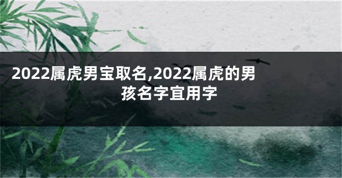 2022属虎男宝取名,2022属虎的男孩名字宜用字