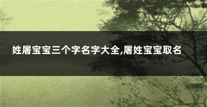 姓屠宝宝三个字名字大全,屠姓宝宝取名