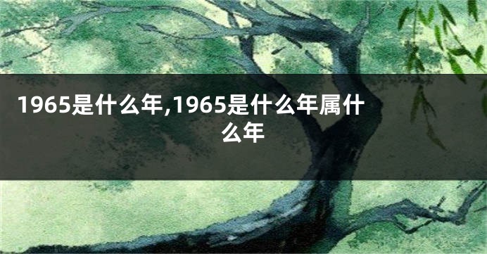 1965是什么年,1965是什么年属什么年