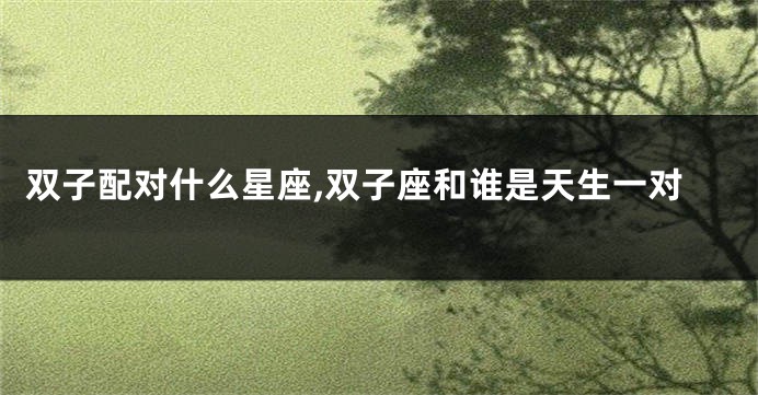 双子配对什么星座,双子座和谁是天生一对