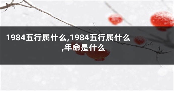 1984五行属什么,1984五行属什么,年命是什么