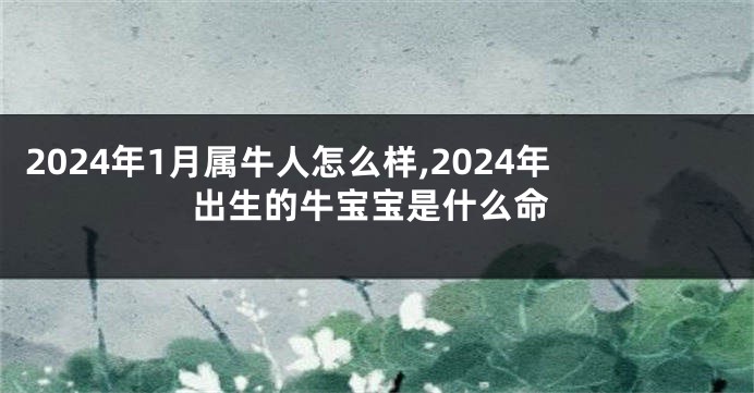 2024年1月属牛人怎么样,2024年出生的牛宝宝是什么命