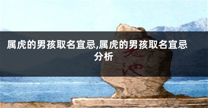 属虎的男孩取名宜忌,属虎的男孩取名宜忌分析